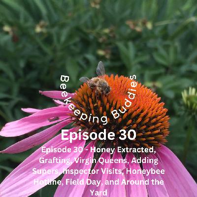 Episode 30 - Honey Extracted, Grafting, Virgin Queens, Adding Supers, Inspector Visits, Honeybee Hotline, Field Day, and Around the Yard