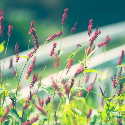 Breathe your way into wellbeing: The resonance breath (article version) Breathe your way into wellbeing: The resonance breath (article version)