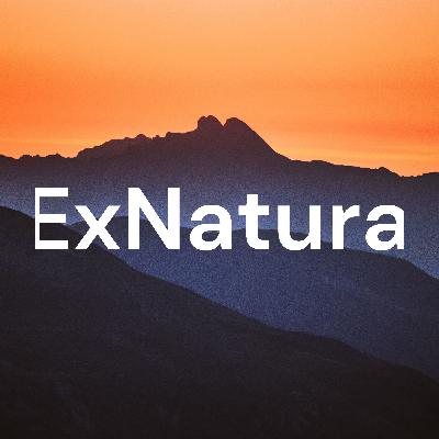 La faune urbaine en France - Nuisance ou cohabitation ? La faune urbaine en France - Nuisance ou cohabitation ?