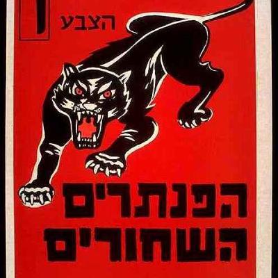 Israel's Black Panthers with Asaf Elia-Shalev