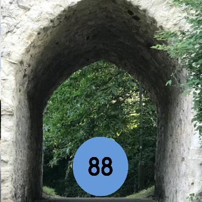 88: The ‘guerilla gardeners’ behind a wildflower makeover of a local roundabout… and more