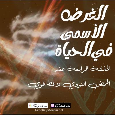 الحلقة 14 : الحمض النووي لاقط قوي الحلقة 14 : الحمض النووي لاقط قوي