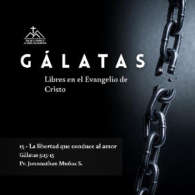 15 - La libertad que conduce al amor | Gálatas: Libres en el Evangelio de Jesucristo 15 - La libertad que conduce al amor | Gálatas: Libres en el Evangelio de Jesucristo