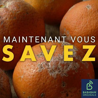 Est-ce vraiment dangereux de manger des aliments moisis ?