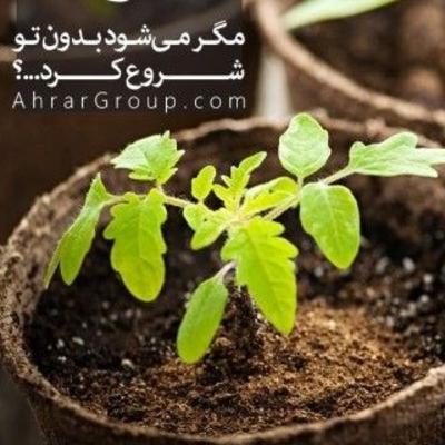 اثرمرکب