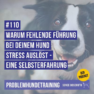 Warum fehlende Führung bei deinem Hund Stress auslöst - eine Selbsterfahrung