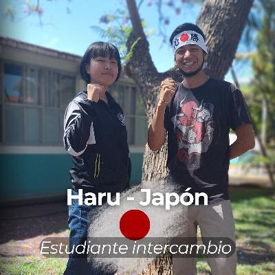 Estudiante de Japón aprende frases y costumbres mexicanas 😂 - Haru