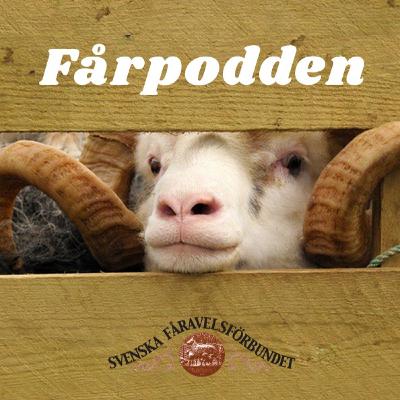 #22 Fårpodden: Fårets dag i riksdagen #22 Fårpodden: Fårets dag i riksdagen