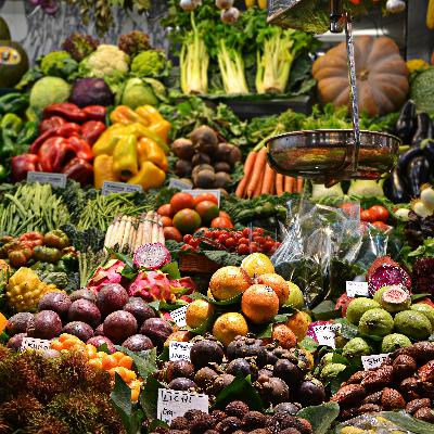 The Vegan Nightmare! Do Vegetables Have Souls?