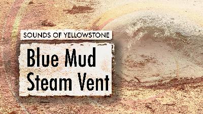 Blue Mud Steam Vent — Sounds of Yellowstone (ASMR, Sleep, Concentration)