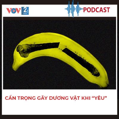 Cẩn trọng gãy dương vật khi “yêu”