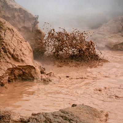 Nature Nomade 2024 - L'Odyssée de la terre
