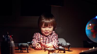 Episode 11: The Animals Around Us (& Making New Rules) Episode 11: The Animals Around Us (& Making New Rules)