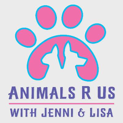 Episode 22: All About Alpacas, Plus Animal Tales & Pet Events