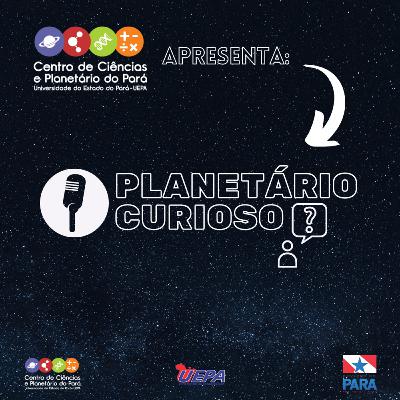 A física do pisca pisca