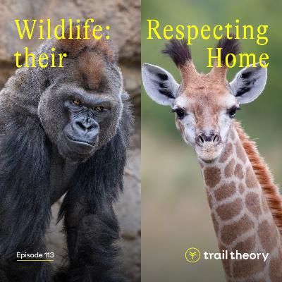 Wildlife: Respecting their Home