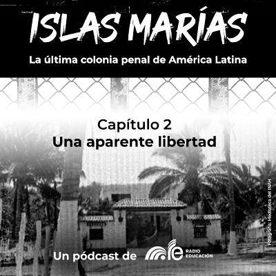 Capítulo 2: Una aparente libertad