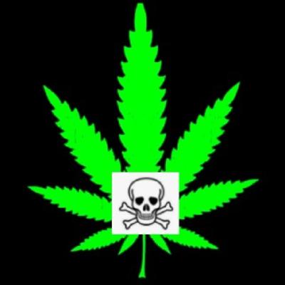 LOS DAÑOS DE LA MARIHUANA 1 LOS DAÑOS DE LA MARIHUANA 1