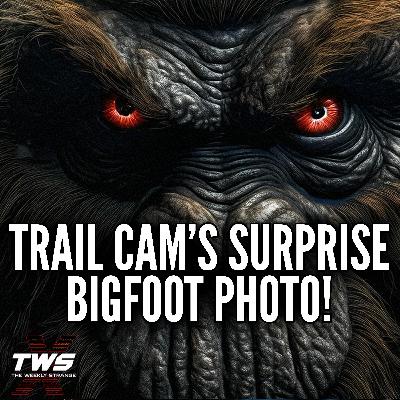Bigfoot Photo Evidence? Unpacking the Trail Cam Sighting in Missouri THE WEEKLY STRANGE Episode 36