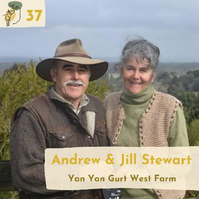 #37 Increasing tree cover from 3% to 20% for resilience, profit and biodiversity with Jill and Andrew Stewart