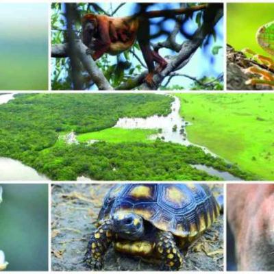 La biodiversidad