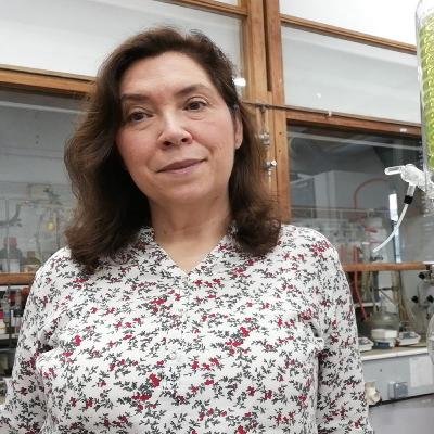 Ana Cristina Fernandes (Técnico / CQE) – Investigação usa resíduos de plástico e de biomassa para produzir compostos sustentáveis para a indústria química e farmacêutica