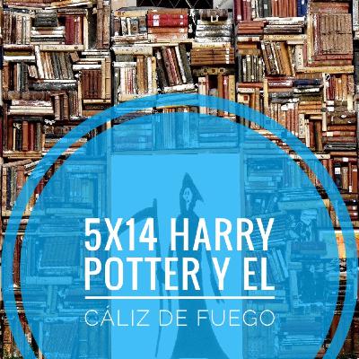 5x14 Harry Potter y el cáliz de fuego 5x14 Harry Potter y el cáliz de fuego