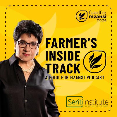 Seriti Institute builds resilient communities through integrated development