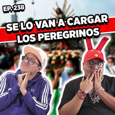 Episodio #238 / SE LO VAN A CARGAR LOS PEREGRINOS