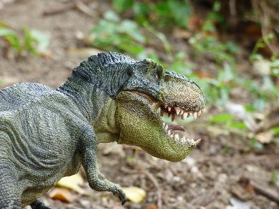 Radio Libre - 16.02.2016 - Le complexe du T-Rex Radio Libre - 16.02.2016 - Le complexe du T-Rex