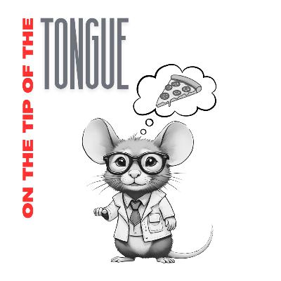 The Behavior of the Listener. Part 2