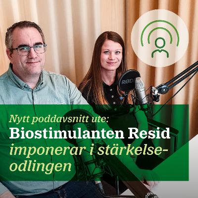 81. Biostimulanten Resid imponerar i stärkelseodlingen