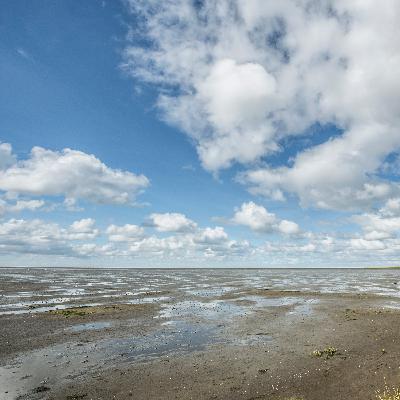 Magie des Wattenmeeres – Erlebnisse im Nationalpark Magie des Wattenmeeres – Erlebnisse im Nationalpark