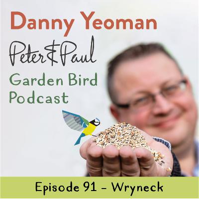 Peter & Paul British Garden Bird Podcast - Wryneck