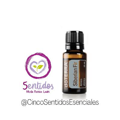 Mirta Renée / Aceite Abeto Siberiano