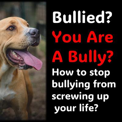 Bullied Or are You a Bully Bullied Or are You a Bully