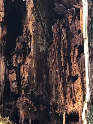 The Institute of Spectra-Sonic Sound 5.9.20