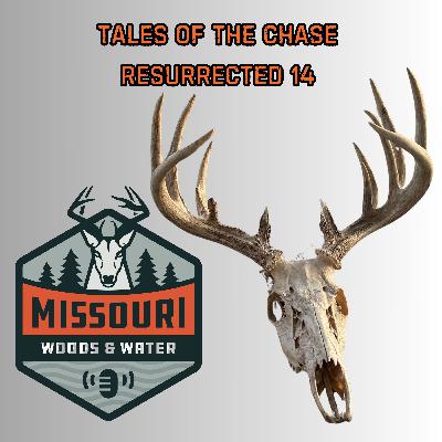Tales of the Chase:  Resurrected 14 - Ep 308