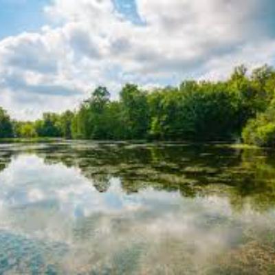 Water Water Everywhere (For Now) Water Water Everywhere (For Now)