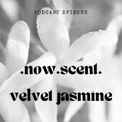Velvet Jasmine .Now.Scent.