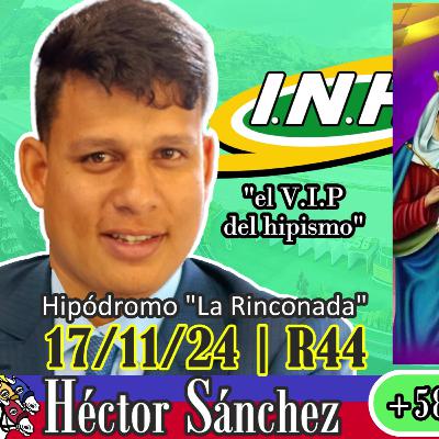 Héctor Sánchez y sus fijos para este DOMINGO 17/11/2024 #LaRinconada | R44 | 🏇🏅🏆