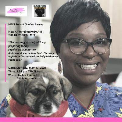 Tails From Heaven - The Baby Bird "Mr. Peepers" Tails From Heaven - The Baby Bird "Mr. Peepers"