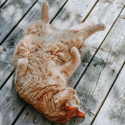 Libérer les tensions du corps - Méditation guidée et respiration profonde Libérer les tensions du corps - Méditation guidée et respiration profonde