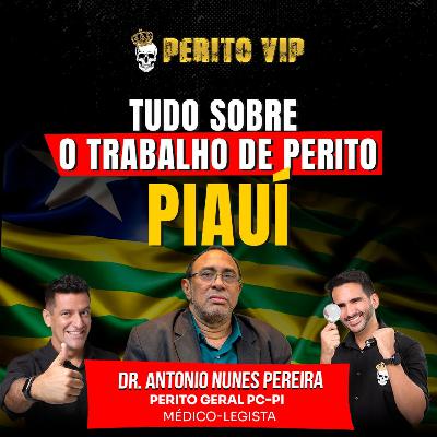 Ep. 046 - Tudo sobre o trabalho de Perito Oficial do PIAUÍ | Perito VIP Talks