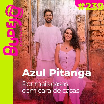 #239. Por mais casas com cara de casas (com Azul Pitanga) #239. Por mais casas com cara de casas (com Azul Pitanga)