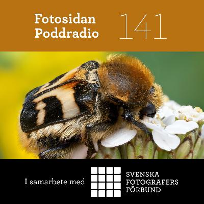#141 - Makromästaren John Hallmén (i samarbete med Svenska Fotografers Förbund)