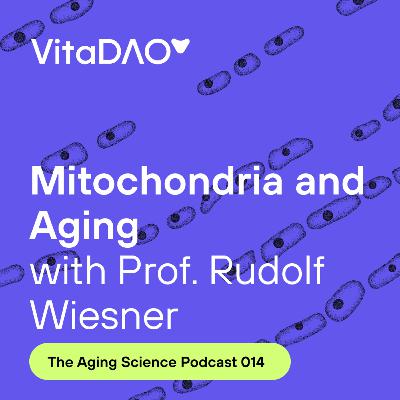 Mitochondria and Aging with Prof. Rudolf Wiesner - VitaDAO Aging Science Podcast