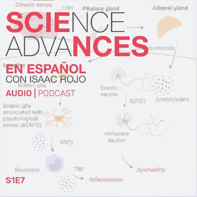 📰 ¡Científicos ya saben por qué el estrés crónico puede inflamar el intestino!.