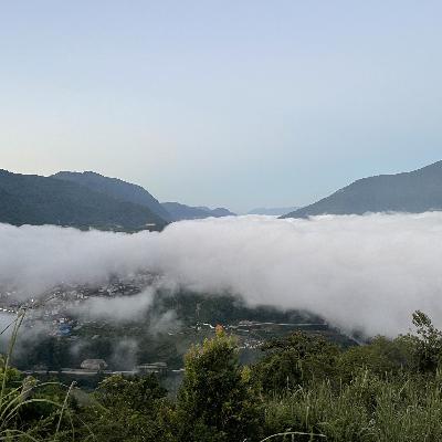 21 鸻旅鹇聊｜山神还在的森林 下