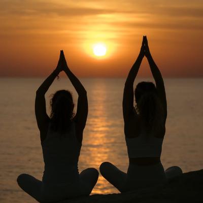 Neurowissenschaft der Pranayama Neurowissenschaft der Pranayama